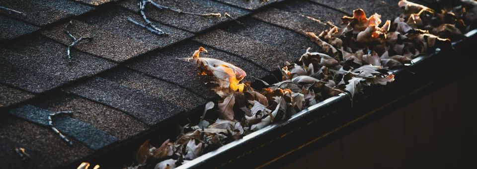 Gutter cleaning and property maintenance - EziBuild Whanganui