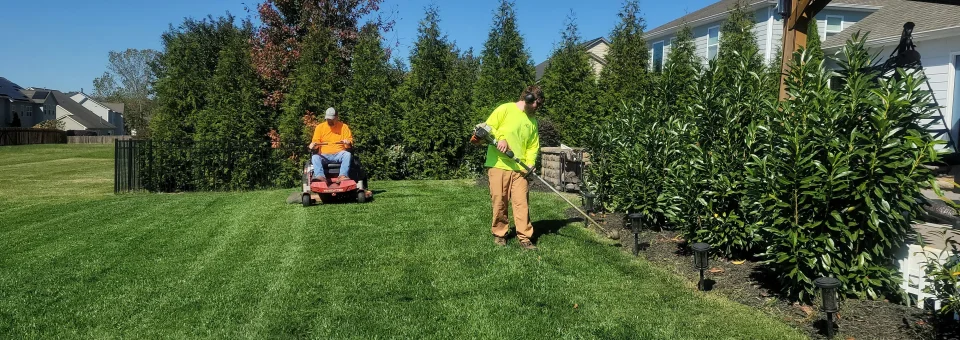 Section Tidying and Gardening - EziBuild Whanganui